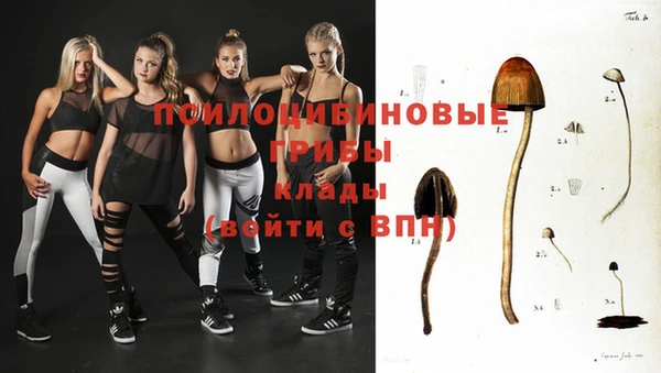 эйфоретик Надым