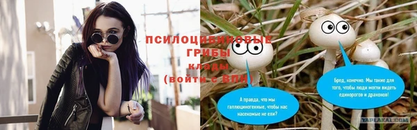 эйфоретик Надым