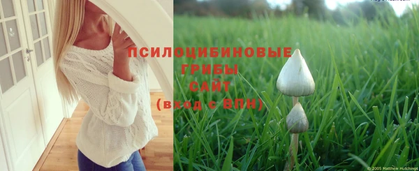 PSILOCYBIN Наволоки