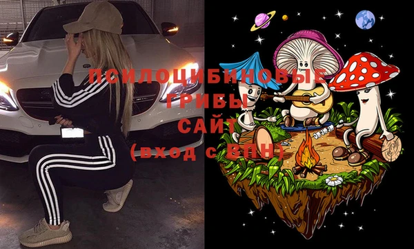 героин Михайлов