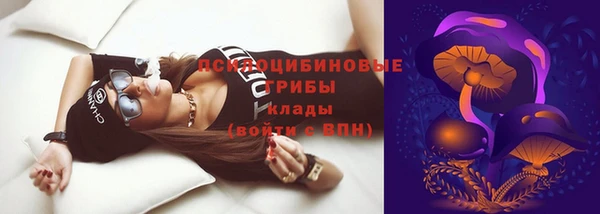 PSILOCYBIN Наволоки