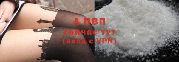 эйфоретик Надым