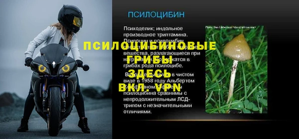 PSILOCYBIN Наволоки